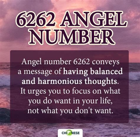 6262 angel number meaning|6262 Angel Number: Twin Flame, Spiritual, Love。